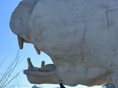 -乌素图国家森林公园