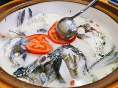 -全乐鱼馆·淳牌有机鱼直营店