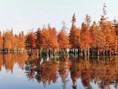 -白鹭湾湿地公园