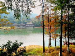 -水濂山森林公园