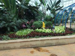 -石家庄市植物园