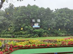 -广州长隆飞鸟乐园