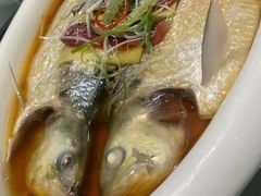 鲥鱼-启东海鲜人家(古美路店)