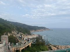 -广东惠东海龟国家级自然保护区