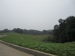 -保利石象湖景区