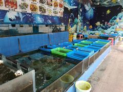 -七鲜渔港美食餐厅(巽寮湾海景店)