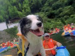 -安吉龙王山峡谷漂流