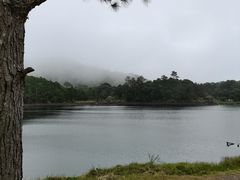 -海南热带雨林国家公园吊罗山景区