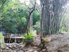-田心森林公园