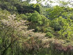 -宁波五龙潭景区