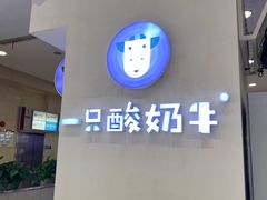 -一只酸奶牛(百联南岸上海城店)