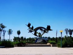 -南大港湿地风景区