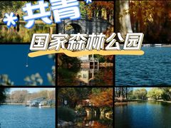 -上海共青森林公园
