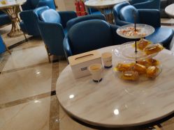 -碧莲盛·不剃发植发