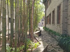 -龙潭水乡