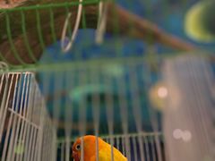 -zoonana室内动物园(东方福来德店)