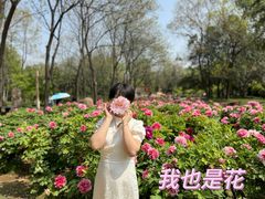 -洛阳市隋唐城遗址植物园