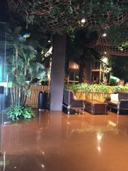 -奇幻丛林(佛罗伦萨小镇店)