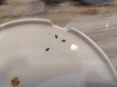 -喜喜香港餐厅(夏日百货店)