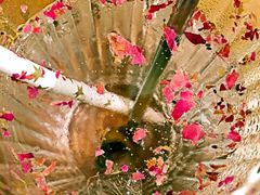 -西关84·History·Art·Cafe