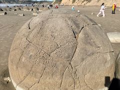 -摩拉基大圆石