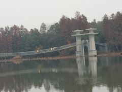 -东湖落雁景区
