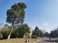 -杏花村文化旅游区