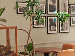 -一尺花园(安和花园店)