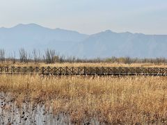 -野鸭湖国家湿地公园