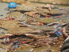 -一方渔歌蒸汽海鲜自助(文化路万达广场店)