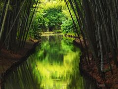 -同里国家湿地公园