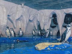 -太平洋海底世界