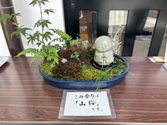-三千院