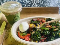 -油梨树AVOCADO TREE(顺义新国展店)