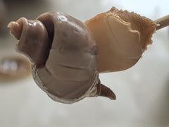-金砂阿洲鱼册店