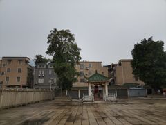 -悦城龙母祖庙