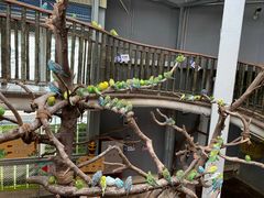 -正佳雨林生态植物园