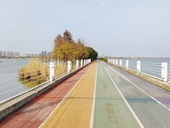 -贡湖湾湿地公园