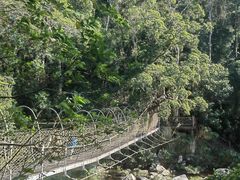 -海南热带雨林国家公园吊罗山景区