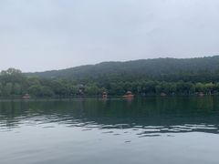 -西湖外事游船(花港观鱼码头)