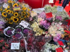 -越秀西湖花市(广州城市广场花卉店)