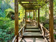 -大岭沟猕猴桃谷风景区