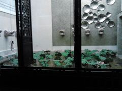 -海通1号(梅峰店)