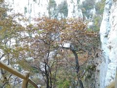 -嵩山少林文化旅游景区