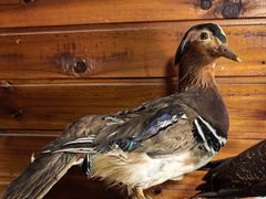 -南京金牛湖风景区