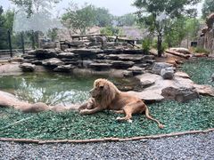 -北京野生动物园