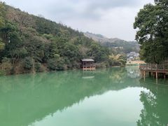 -洪崖丹井
