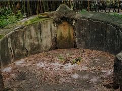 -晓港公园