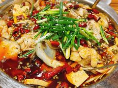 -乡土特色.冷锅鱼.牦牛肉汤锅