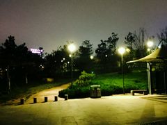 -二红烧烤排骨串(麦岛店)